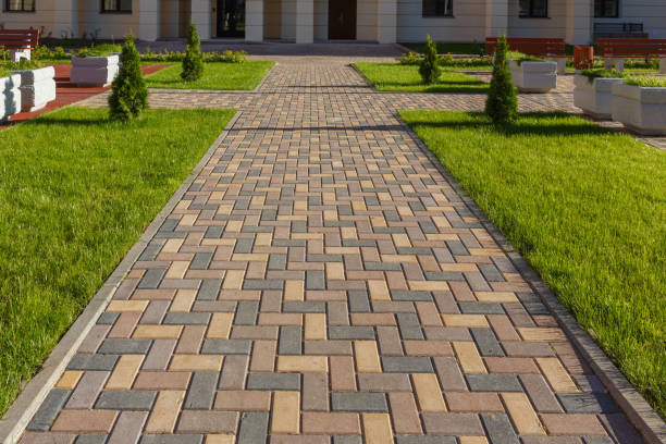 Best Driveway Paving Contractor  in Osborne, KS